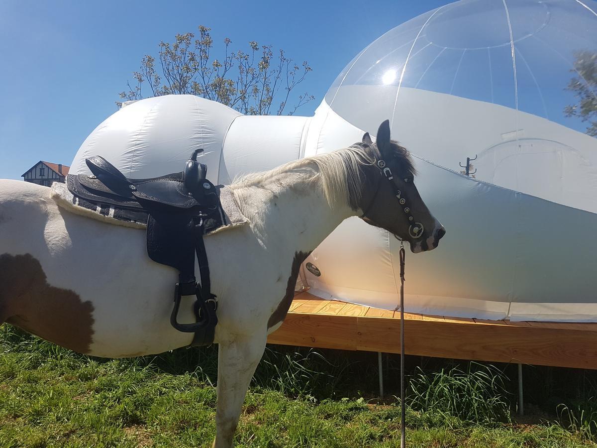Coachella Pension Lanouaille Buitenkant foto
